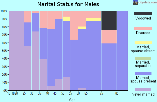 Zip code 54408 marital status for males