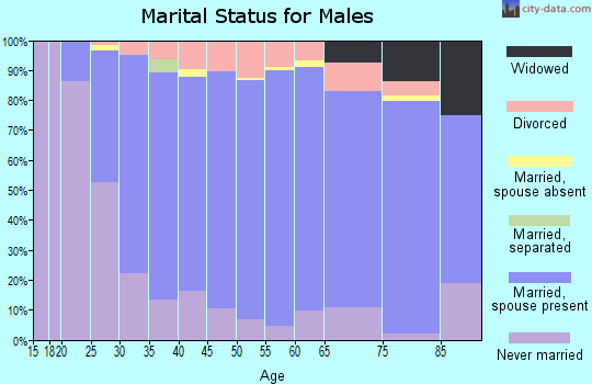 Zip code 54411 marital status for males