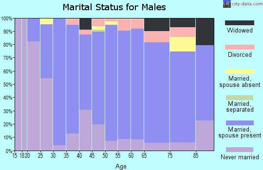 Zip code 54421 marital status for males