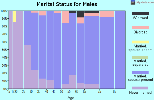 Zip code 54423 marital status for males