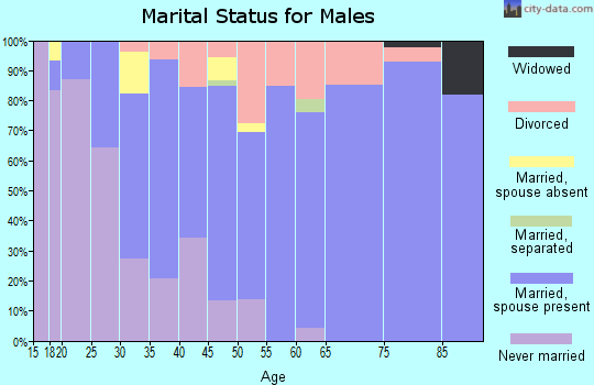 Zip code 54425 marital status for males