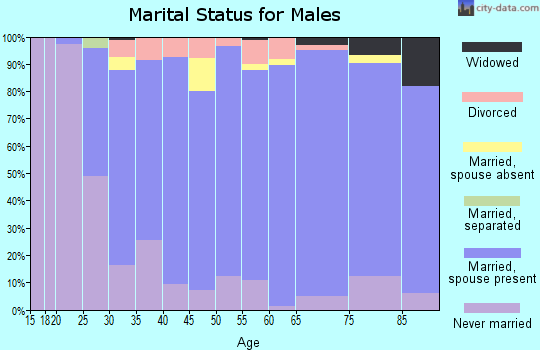 Zip code 54426 marital status for males