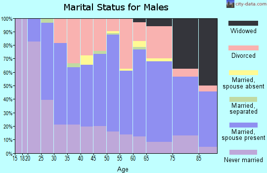 Zip code 54433 marital status for males