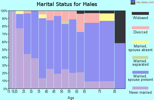 Zip code 54437 marital status for males