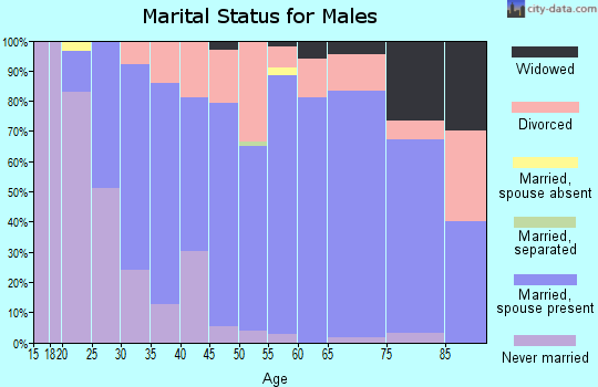 Zip code 54440 marital status for males