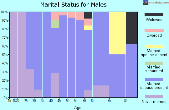 Zip code 54441 marital status for males