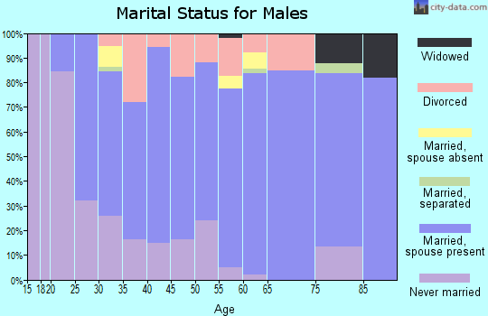 Zip code 54443 marital status for males