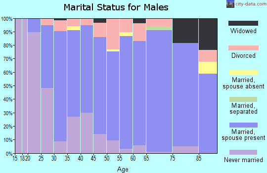 Zip code 54446 marital status for males