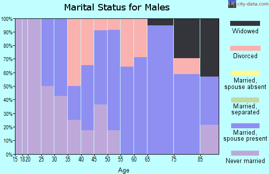 Zip code 54447 marital status for males