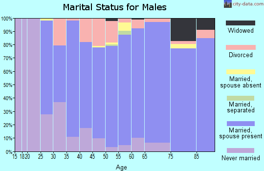 Zip code 54448 marital status for males