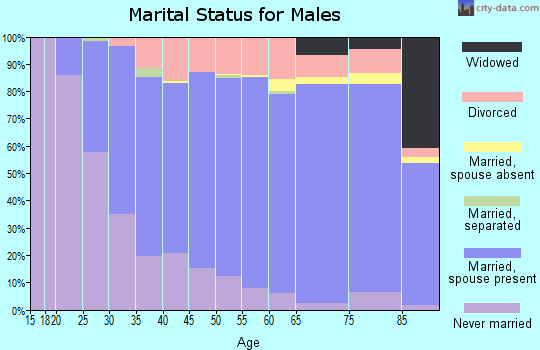 Zip code 54449 marital status for males