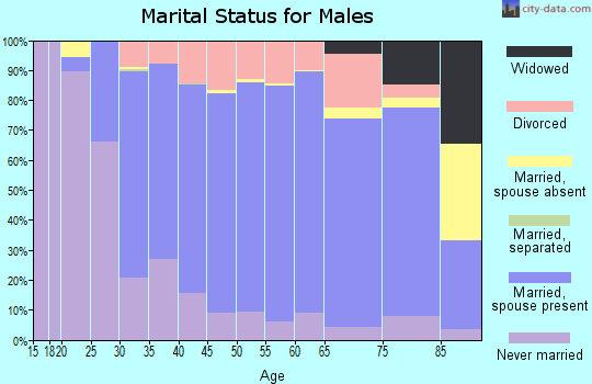 Zip code 54451 marital status for males