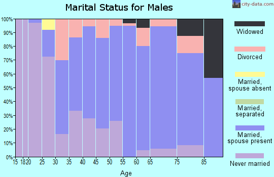 Zip code 54454 marital status for males