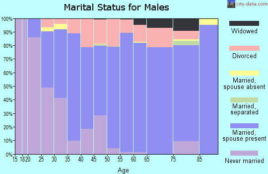 Zip code 54455 marital status for males
