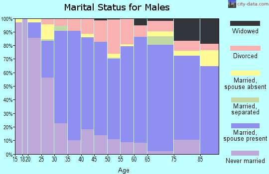 Zip code 54456 marital status for males