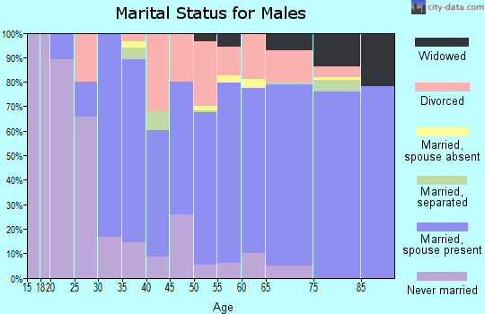 Zip code 54457 marital status for males