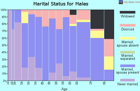 Zip code 54460 marital status for males