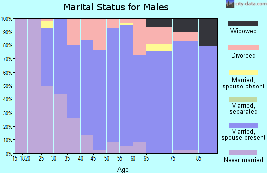 Zip code 54467 marital status for males