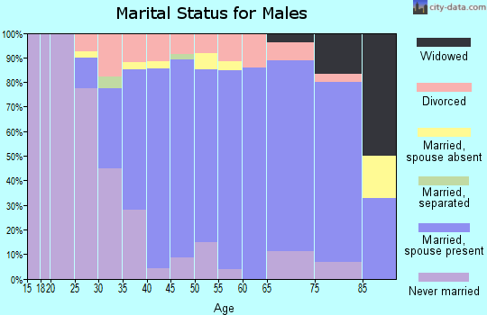 Zip code 54470 marital status for males