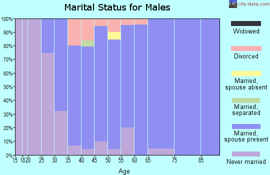 Zip code 54471 marital status for males