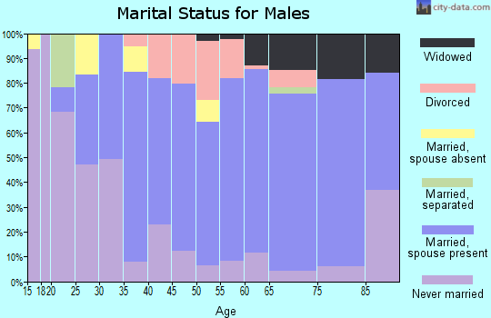 Zip code 54473 marital status for males