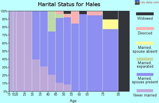 Zip code 54474 marital status for males
