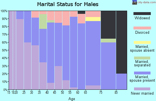 Zip code 54475 marital status for males