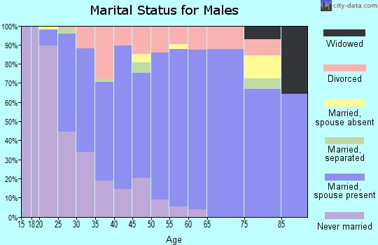 Zip code 54476 marital status for males
