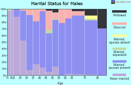 Zip code 54479 marital status for males