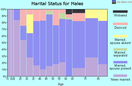 Zip code 54480 marital status for males