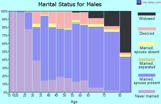 Zip code 54481 marital status for males