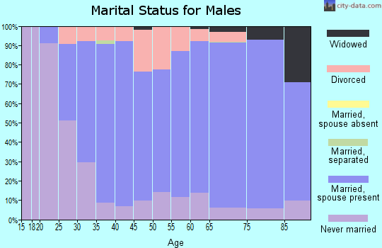Zip code 54484 marital status for males