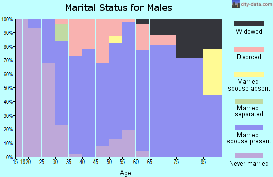 Zip code 54488 marital status for males