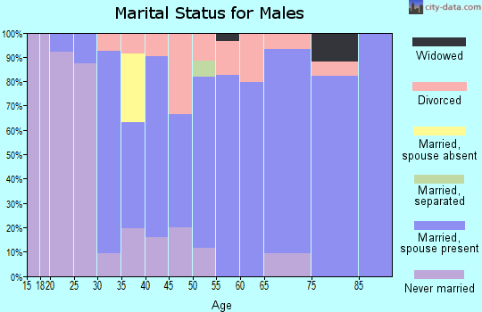 Zip code 54489 marital status for males