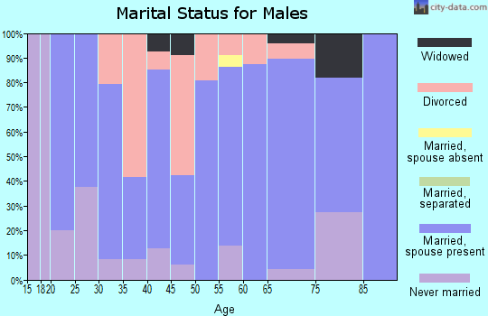 Zip code 54490 marital status for males