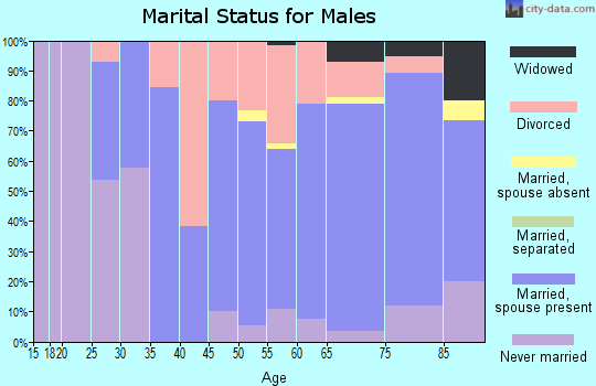Zip code 54491 marital status for males