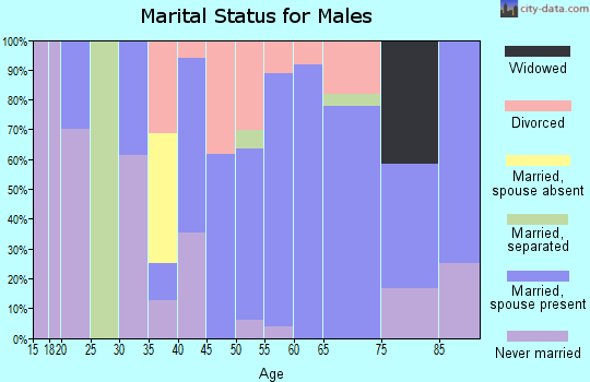 Zip code 54493 marital status for males
