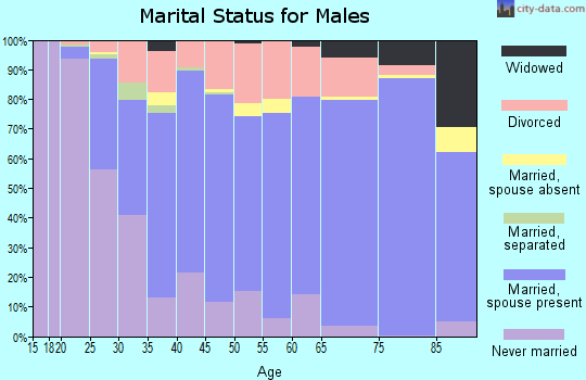 Zip code 54494 marital status for males