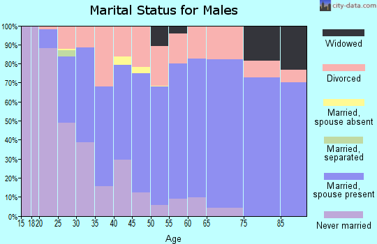 Zip code 54495 marital status for males