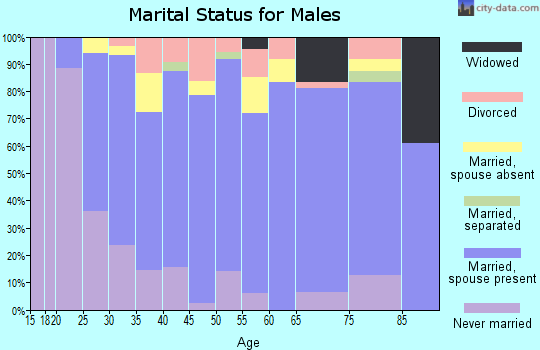 Zip code 54498 marital status for males