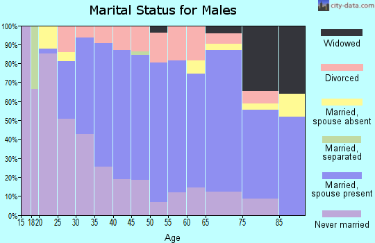 Zip code 54499 marital status for males