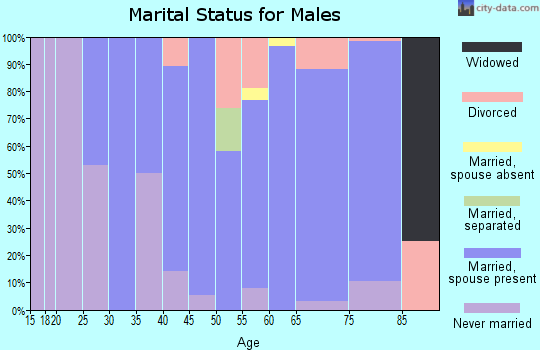 Zip code 54512 marital status for males