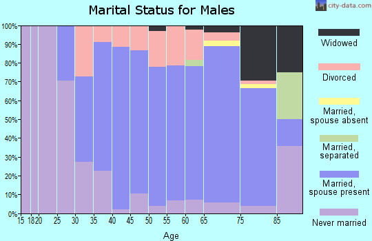 Zip code 54514 marital status for males