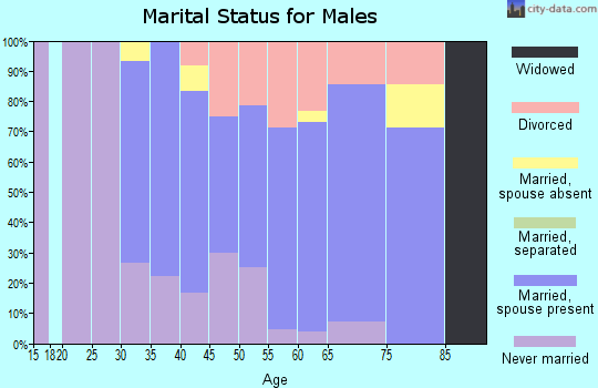 Zip code 54515 marital status for males