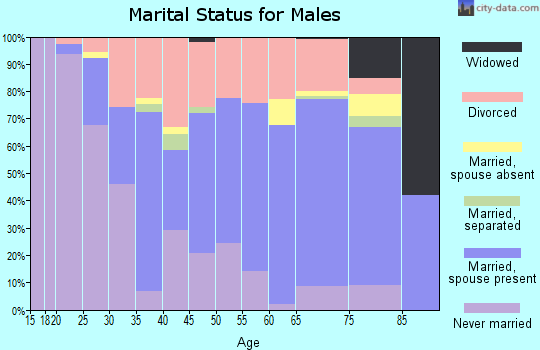 Zip code 54520 marital status for males