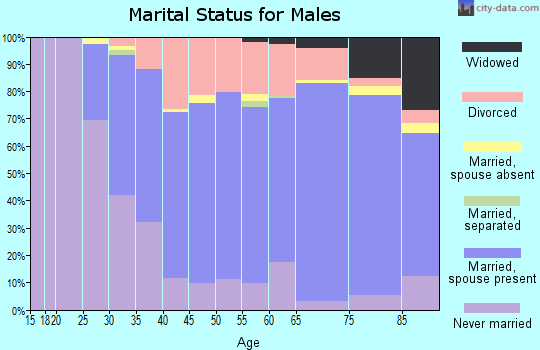 Zip code 54521 marital status for males