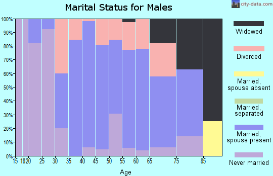 Zip code 54526 marital status for males