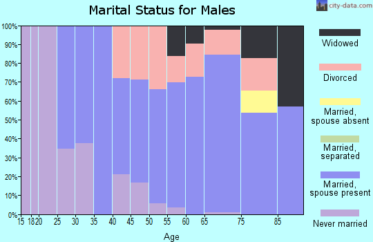 Zip code 54531 marital status for males