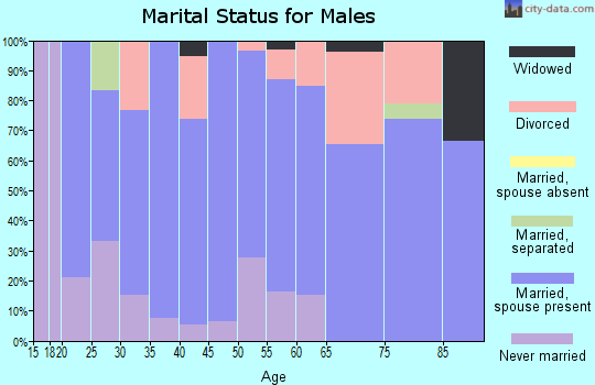 Zip code 54537 marital status for males
