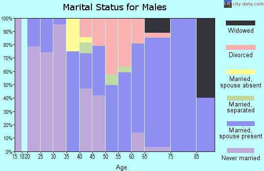 Zip code 54539 marital status for males